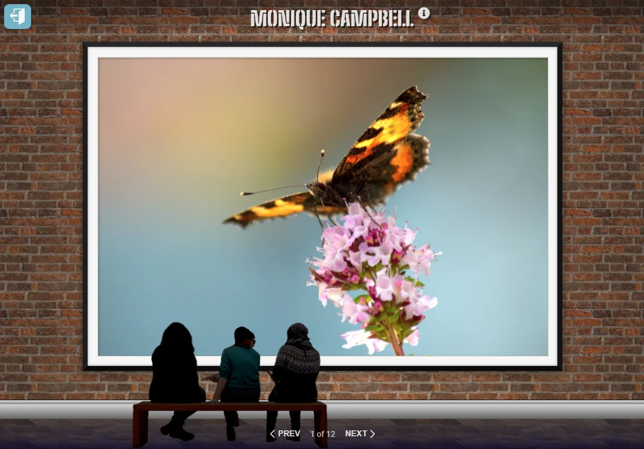 webpage showing large framed photo of a butterfly