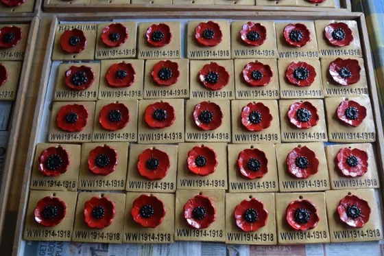 Dalton Poppy Plaques