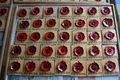Dalton Poppy Plaques