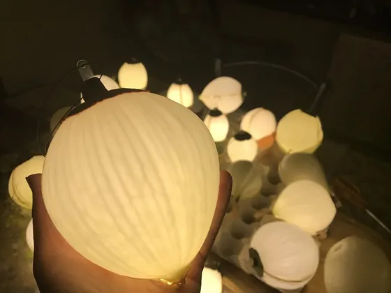 Glowing Onions