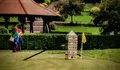 Trumping Towers