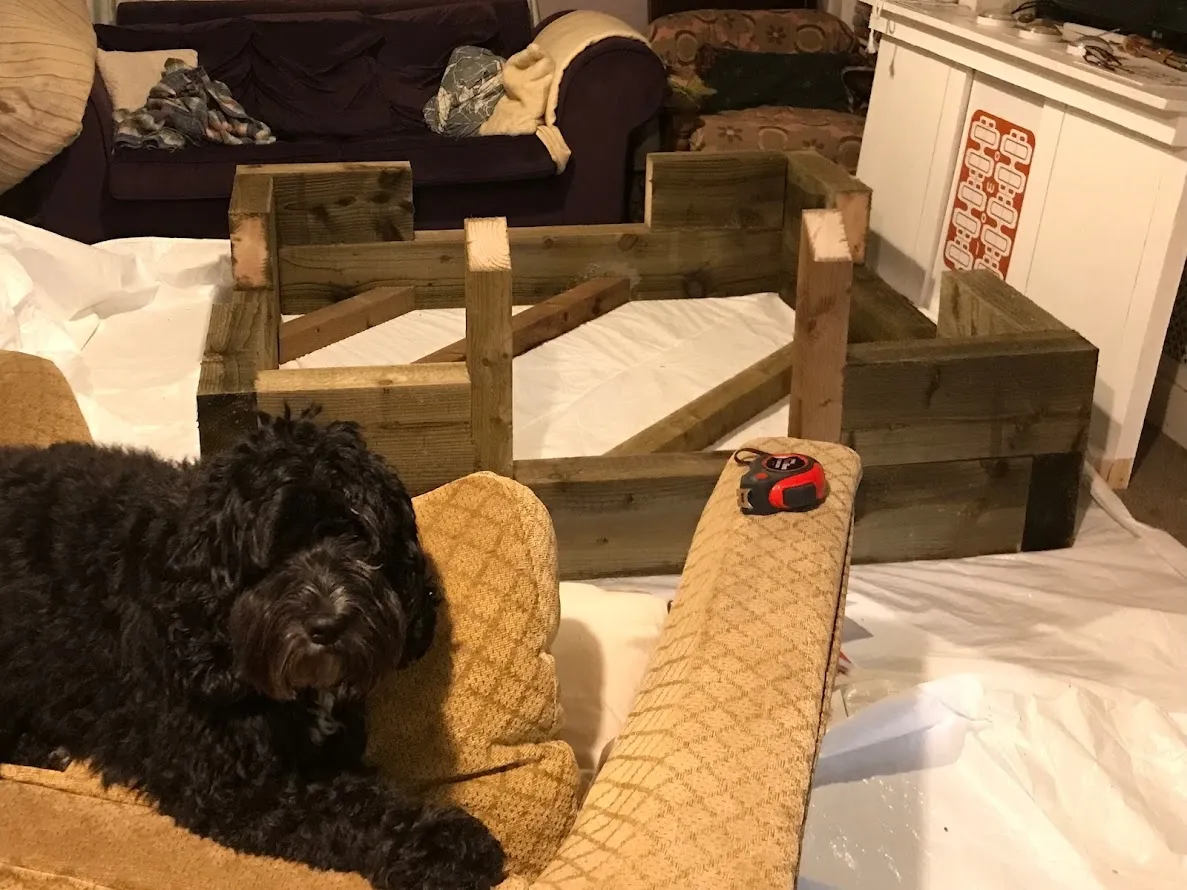 Dog in front of wooden construction