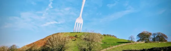 Hill Fork