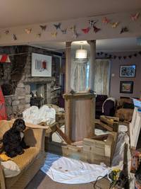 Dog on chair in front of wooden base and Perspex in frame