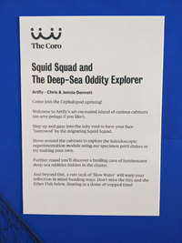 Art panel saying: Squid Squad and The Deep-Sea Oddity Explorer Artfly - Chris & Jennie Dennett Come join the Cephalopod uprising! Welcome to Artfly's art-encrusted island of curious cabinets (an arty-pelago if you like!). Step up and gaze into the inky void to have 'borrowed' by the migrating Squid Squad. your face Move around the cabinets to explore the kaleidoscopic experimentation module using our specimen petri dishes or try making your own. Further round you'll discover a broiling cave of luminescent deep-sea oddities hidden in the cluster. And beyond this, a rare tank of 'Slow Water' will warp your reflection in mind-bending ways. Don't miss the tiny and shy Ether Fish below, floating in a dome of trapped time!